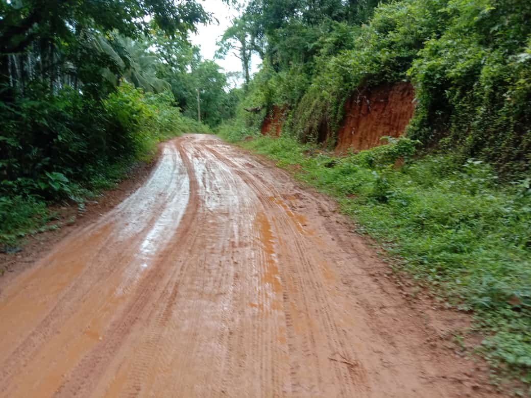 ಮಡಪ್ಪಾಡಿಯ ಸಂಕಟದ ಕೆಸರು ತೊಳೆಯೋದು ಯಾವಾಗ? ಸಚಿವರೇ ಒಂಚೂರು ಕಿವಿಗೊಟ್ಟು‌ ಕೇಳಿ ನಮ್ಮ ಅಳಲು.