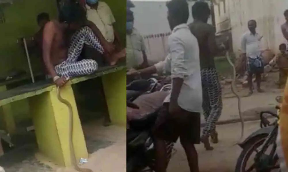 ಕಚ್ಚಿದ ಹಾವನ್ನು ಜೊತೆಗೆ ಹಿಡಿದುಕೊಂಡು ಆಸ್ಪತ್ರೆಗೆ ಬಂದ