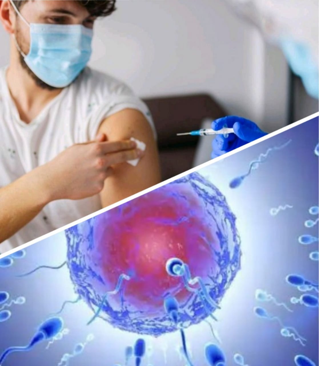 ಕೊರೊನ ಲಸಿಕೆಯಿಂದ ಪುರುಷತ್ವ ಕಡಿಮೆಯಾಗುತ್ತಾ? ಇಲ್ಲಿದೆ ಅಧ್ಯಯನ ವರದಿ