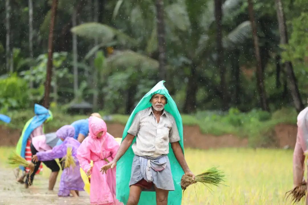 ಉತ್ಸವದ ಅಕ್ಕಿಗಾಗಿ ದೇವಳಕ್ಕೆ ಗದ್ದೆ ಬಿಟ್ಟು ಕೊಟ್ಟ ಮುಸ್ಲಿಂ ಕುಟುಂಬ: ಪುತ್ತೂರಿನಲ್ಲೊಂದು‌ ಕೋಮು ಸಾಮರಸ್ಯದ ನಡೆ