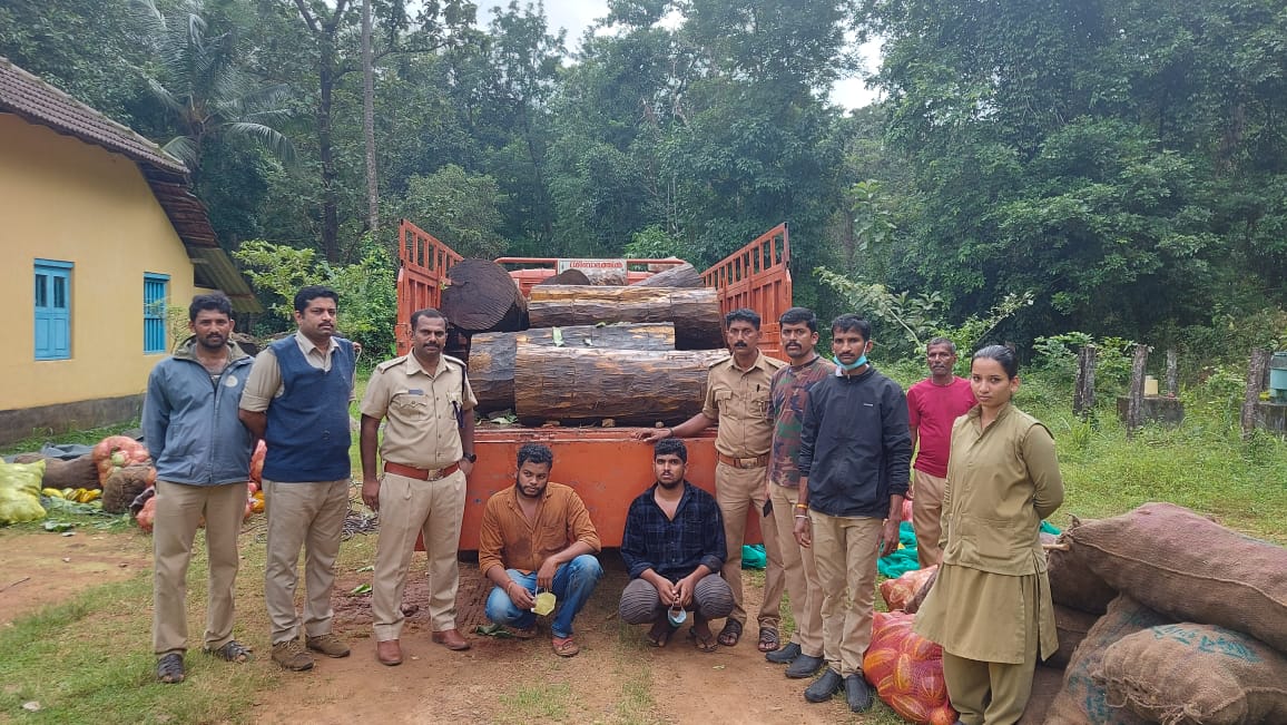 ಮಡಿಕೇರಿ: ತರಕಾರಿ‌ ಲಾರಿಯಲ್ಲಿ ಅಕ್ರಮ‌ ಮರ ಸಾಗಾಟ, ಆರೋಪಿಗಳನ್ನು ಬಂಧಿಸಿದ ಸಂಪಾಜೆ ಅರಣ್ಯ‌ಇಲಾಖೆ ಸಿಬ್ಬಂದಿ