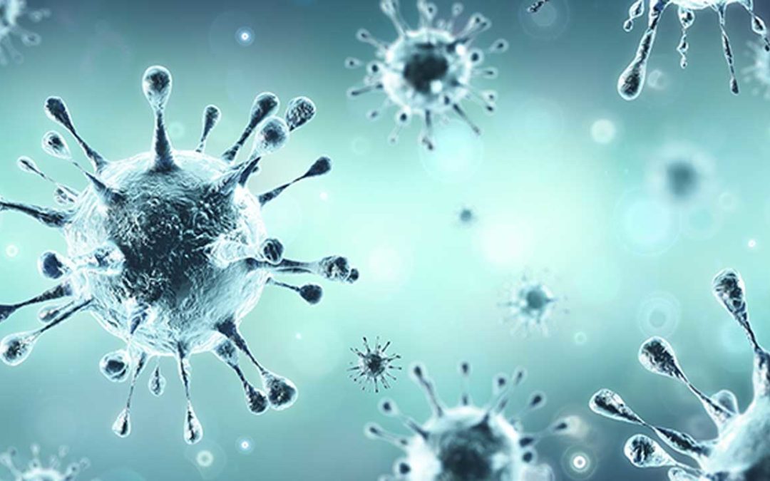 ಮಂಗಳೂರಿಗೆ ಕಾಲಿಟ್ಟ ‘ಇಟಾ’ ವೈರಸ್| ಕತರ್ ನಿಂದ ಬಂತು ಮಹಾಮಾರಿ|