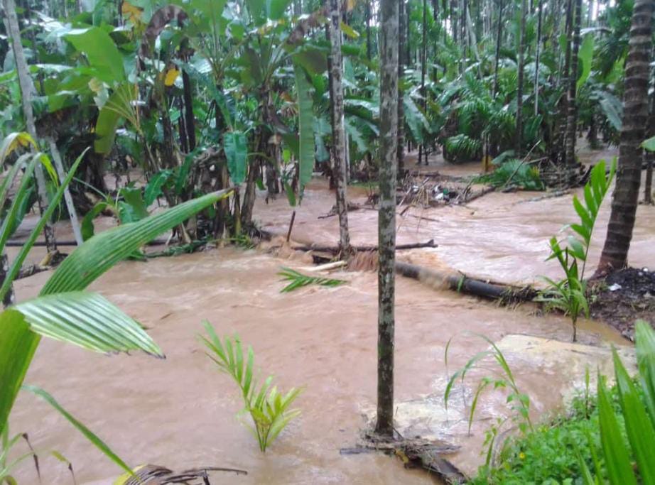 ದ.ಕ ಜಿಲ್ಲೆಯಲ್ಲಿ ಭಾರೀ ಮಳೆ| ಅನೇಕ ಕಡೆ ಕೃಷಿ ಹಾನಿ, ಜನಜೀವನ ಅಸ್ತವ್ಯಸ್ತ|