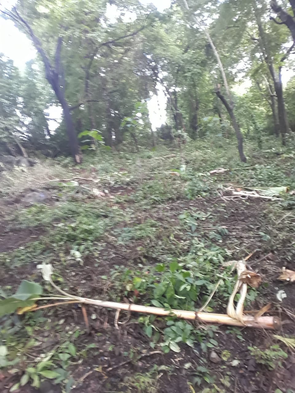 ಮಡಿಕೇರಿ ಕಂದಾಯ ಪ್ರದೇಶದಲ್ಲಿ ಸುಳ್ಯ ಅರಣ್ಯಾಧಿಕಾರಿಗಳ ದಾಂದಲೆ| ಕೃ಼ಷಿಕನಿಗೆ ಜೀವ ಬೆದರಿಕೆ| ಮಡಿಕೇರಿ ಪೊಲೀಸರಿಂದ ಕೇಸು ದಾಖಲು|