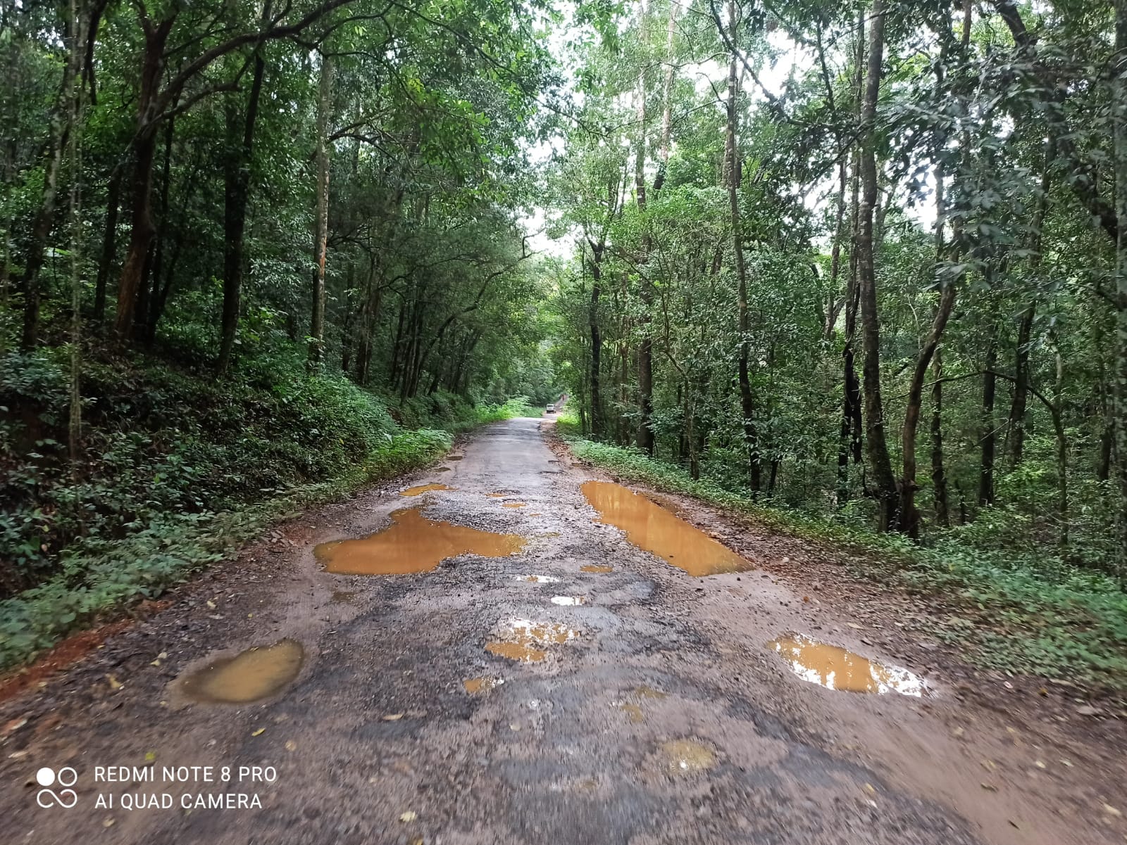 ಸುಳ್ಯ| ಐತಿಹಾಸಿಕ ರಸ್ತೆಯಲ್ಲೊಂದು ಅಡ್ವೆಂಚರ್ ಎಕ್ಸ್ಪರಿಮೆಂಟ್| ಪುರಾತನ ಟಾರು ರೋಡಿನಲ್ಲಿ ಸಂಚರಿಸುವ ಮಜಾನೇ ಬೇರೆ..! ಈ ವಿಶೇಷ ರಸ್ತೆ ಇರೋದೆಲ್ಲಿ ಗೊತ್ತೇ..?
