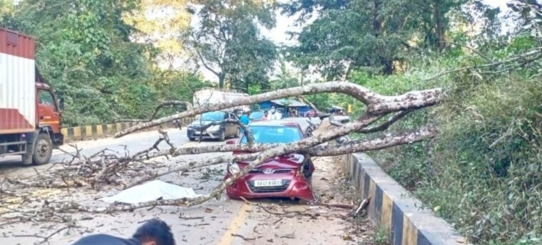 ಗುಂಡ್ಯ: ಕಾರಿನ ಮೇಲೆ ಮರಬಿದ್ದು ಚಾಲಕ ದುರ್ಮರಣ | ಕಾರಿನಲ್ಲಿನ ಸಮಸ್ಯೆ ಸಾವಾಗಿ ಪರಿವರ್ತನೆ|