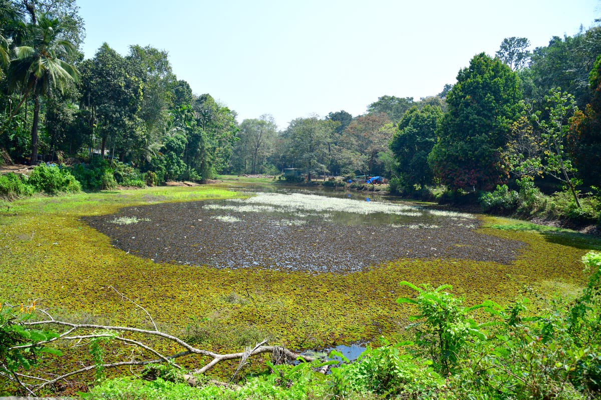 ಬಳ್ಪ: ಆದರ್ಶ ಗ್ರಾಮದ ಬೋಗಾಯನ ಕೆರೆ ಅಭಿವೃದ್ಧಿಗೆ ಕೂಡಿ ಬಂತು ಕಾಲ !