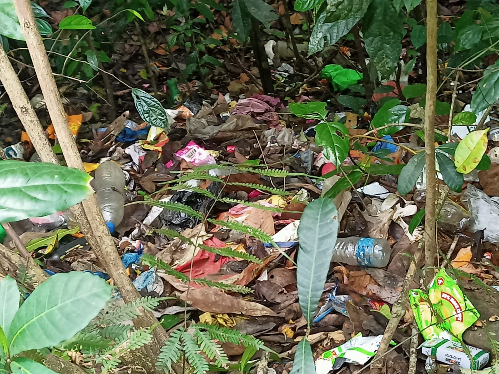 ಸುಳ್ಯ: ಸಾರ್ವಜನಿಕವಾಗಿ ತ್ಯಾಜ್ಯ ಚೆಲ್ಲುವ ಕಾರಣ ಸರಕಾರದ ಸ್ವಚ್ಚತಾ ಆಂದೋಲನಕ್ಕೆ ಅಪಚಾರ|ಸೂಕ್ತ ಕ್ರಮಕ್ಕೆ ಪ್ರಶಾಂತ್ ರೈ ಮರುವಂಜ ಆಗ್ರಹ