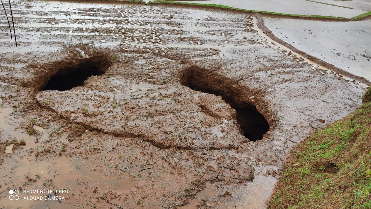 ಚಿಕ್ಕಮಗಳೂರು : ಭಾರೀ ಮಳೆಗೆ ಗದ್ದೆಯಲ್ಲಿ ಭೂಕುಸಿತ