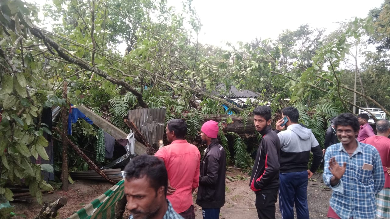 ಮಲೆನಾಡಲ್ಲಿ ಮುಂದುವರಿದ ಮಳೆಯಬ್ಬರ| ಮನೆ ಮೇಲೆ ಮರ ಬಿದ್ದು ಇಬ್ಬರು ಮಹಿಳೆಯರು ಸಾವು