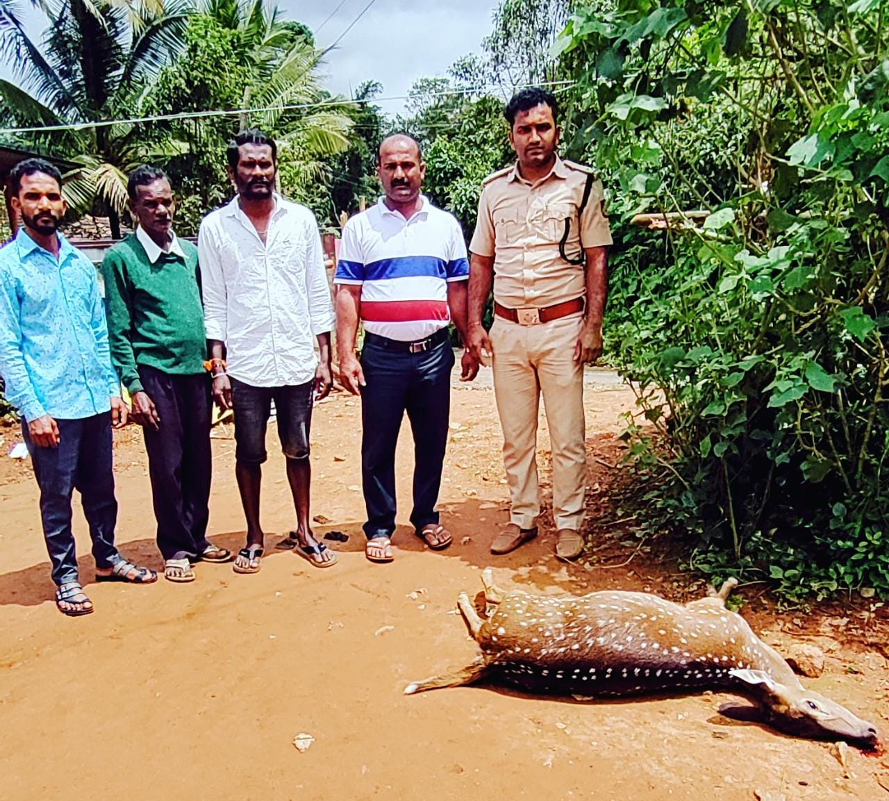 ಮೂಡಿಗೆರೆ: ಕಾಡಿನಿಂದ ನಾಡಿಗೆ ಬಂದ ಜಿಂಕೆ ಸಾವು