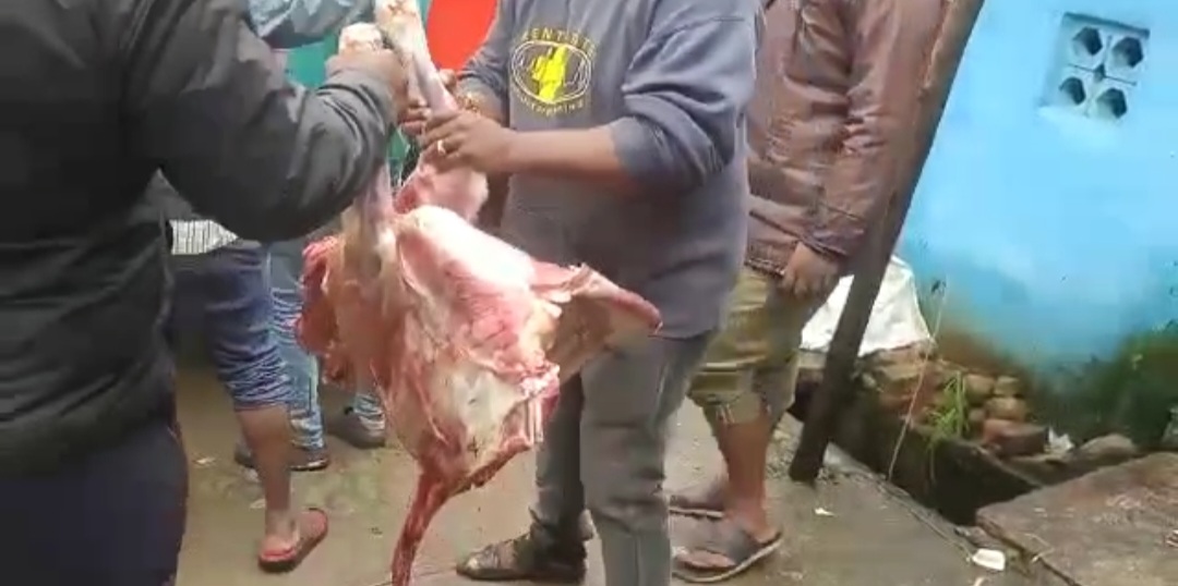 ಚಿಕ್ಕಮಗಳೂರು : ಗೋ ಹತ್ಯೆ ತಡೆಯಲು ಹೊಸ ಪ್ರಯೋಗಕ್ಕೆ ಮುಂದಾದ ನಗರಸಭೆ