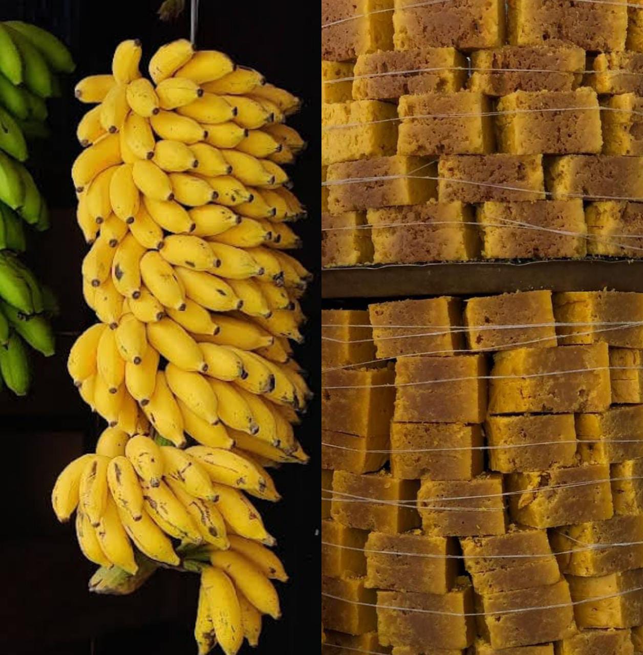 ನಂಜನಗೂಡಿನ ರಸಬಾಳೆ ಸವಿದಿದ್ದೀರಾ? ಮೈಸೂರು ಪಾಕ್ ಬಗ್ಗೆ ನಿಮ್ಗೆಷ್ಟು‌ ಗೊತ್ತು? ಬನ್ನಿ ನಿಮ್ಗಾಗಿ ಈ ಮಾಹಿತಿ…