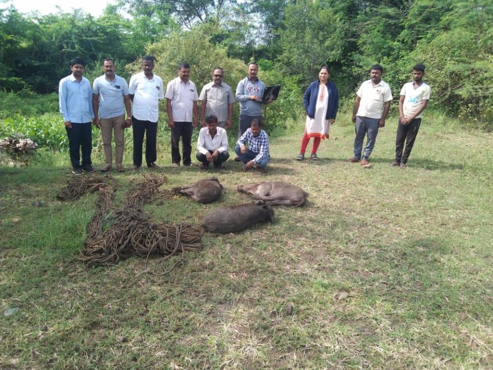 ಇಬ್ಬರು ಕಾಡು ಹಂದಿ ಬೇಟೆಗಾರರ ಬಂಧನ