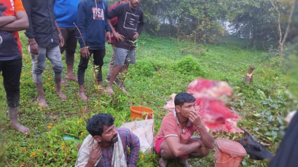 ಗೋಪೂಜೆ ದಿನವೇ ಅಕ್ರಮ ಗೋಮಾಂಸ ಸಾಗಾಣಿಕೆಗೆ ಯತ್ನ| ಇಬ್ಬರು ಆರೋಪಿಗಳು ಅರೆಸ್ಟ್