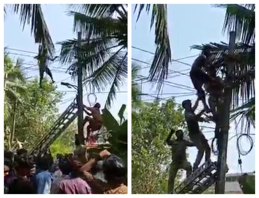 ಕಾಸರಗೋಡು: ವಿದ್ಯುತ್ ಕಂಬ ಏರಿದ ಮಾನಸಿಕ ಅಸ್ವಸ್ಥ|ಅವಾಂತರಕ್ಕೆ ಸುಸ್ತಾದ ಲೈನ್ ಮ್ಯಾನ್ ಗಳು…..!!