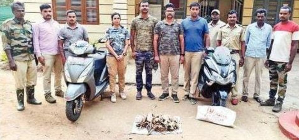 ಮೈಸೂರು:ಅರಣ್ಯ ಇಲಾಖೆಯ ಕಾರ್ಯಾಚರಣೆ|ಶ್ರೀಗಂಧ ಮರ ವಶ