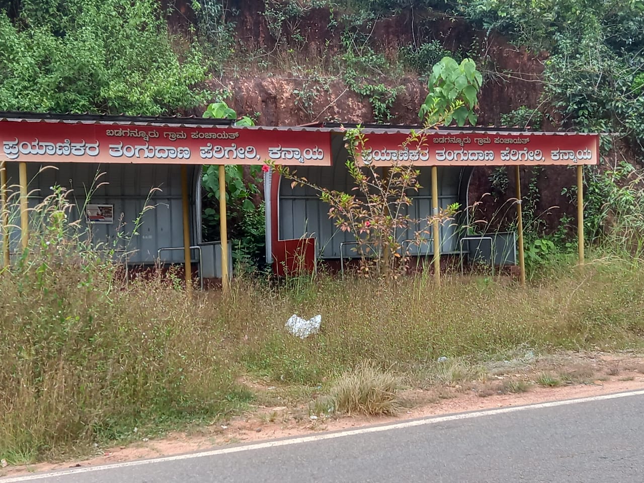 ಪುತ್ತೂರಲ್ಲಿ ಹೀಗೂ ಉಂಟು! ಪೊದೆಯೊಳಗೆ ಅಡಗಿ ಕುಳಿತ ಬಸ್ ನಿಲ್ದಾಣ