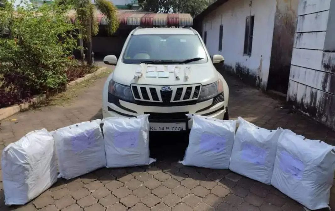 ಮಂಗಳೂರು: ಸಿಸಿಬಿ ಪೊಲೀಸರ ಭರ್ಜರಿ ಕಾರ್ಯಾಚರಣೆ| ಗಾಂಜಾ ದಂಗೆಕೋರರ ಬಂಧನ;132 ಕೆಜಿ ಮಾಲು ವಶ