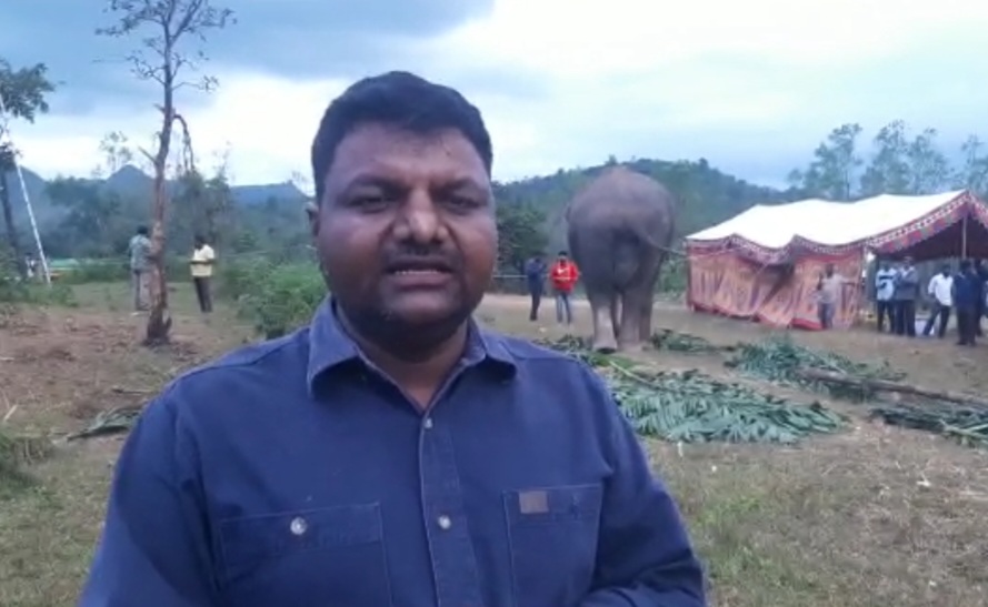 ಅಂಬಾರಿ ಹೊರುವ ಆನೆ ಅಭಿಮನ್ಯುವನ್ನು ಕಾರ್ಯಾಚರಣೆಗೆ ಬಳಸುವುದು ಸರಿಯಲ್ಲ:ಪರಿಸರವಾದಿ ವಿಕ್ರಂ ಅಸಮಾಧಾನ