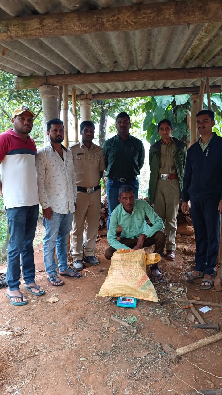 ಕೊಟ್ಟಿಗೆಹಾರ: ತೋಟದಲ್ಲಿ ಗಾಂಜಾ ಗಿಡ ಬೆಳೆದ ಆರೋಪಿಯ ಬಂಧನ