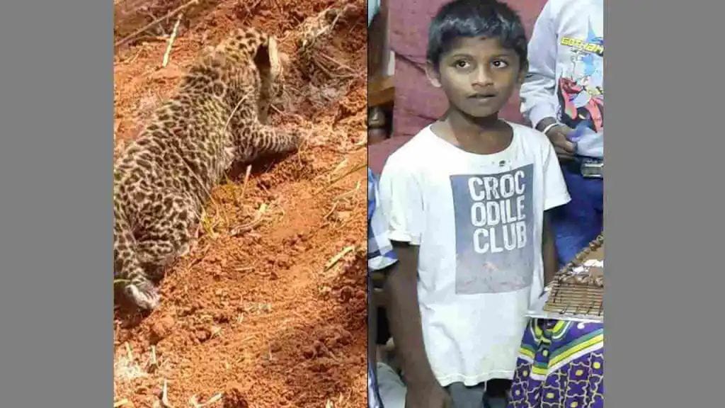 ಮೈಸೂರು: ಚಿರತೆ ದಾಳಿಗೆ ಬಾಲಕ ಬಲಿ
