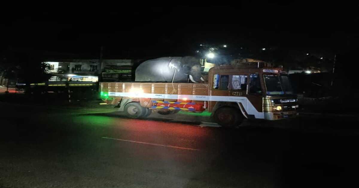 ಕಡಬ: ಕೊನೆಗೂ ಎಚ್ಚೆತ್ತ ಅರಣ್ಯ ಇಲಾಖೆ| ಇಂದಿನಿಂದ ಕಾಡಾನೆಗಳ ಸೆರೆಗೆ ಸಾಕಾನೆಗಳಿಂದ ಕಾರ್ಯಾಚರಣೆ