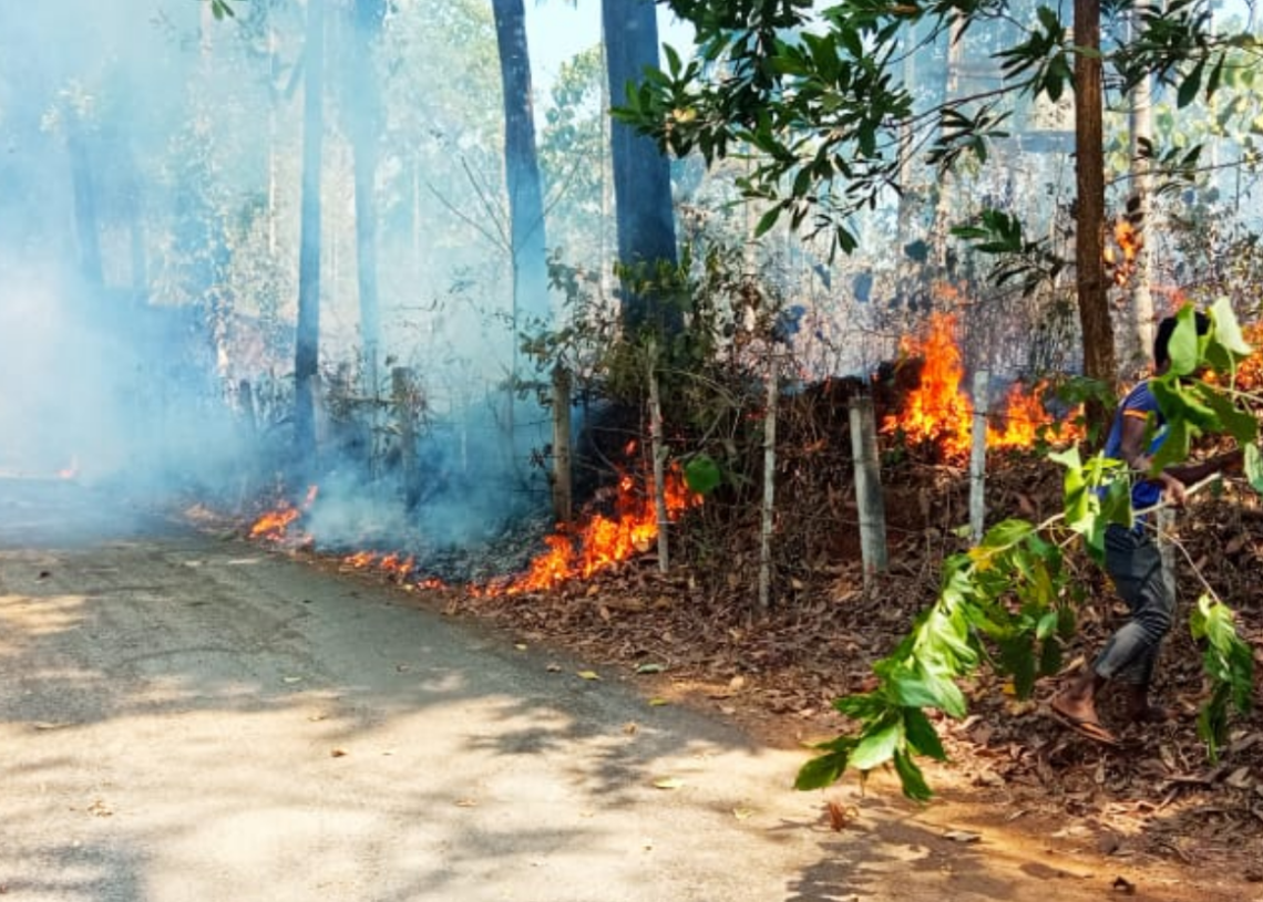 ಸಂಪಾಜೆ: ಶಾರ್ಟ್ ಸರ್ಕ್ಯೂಟ್; ಹೊತ್ತಿ ಉರಿದ ಕೃಷಿಭೂಮಿ