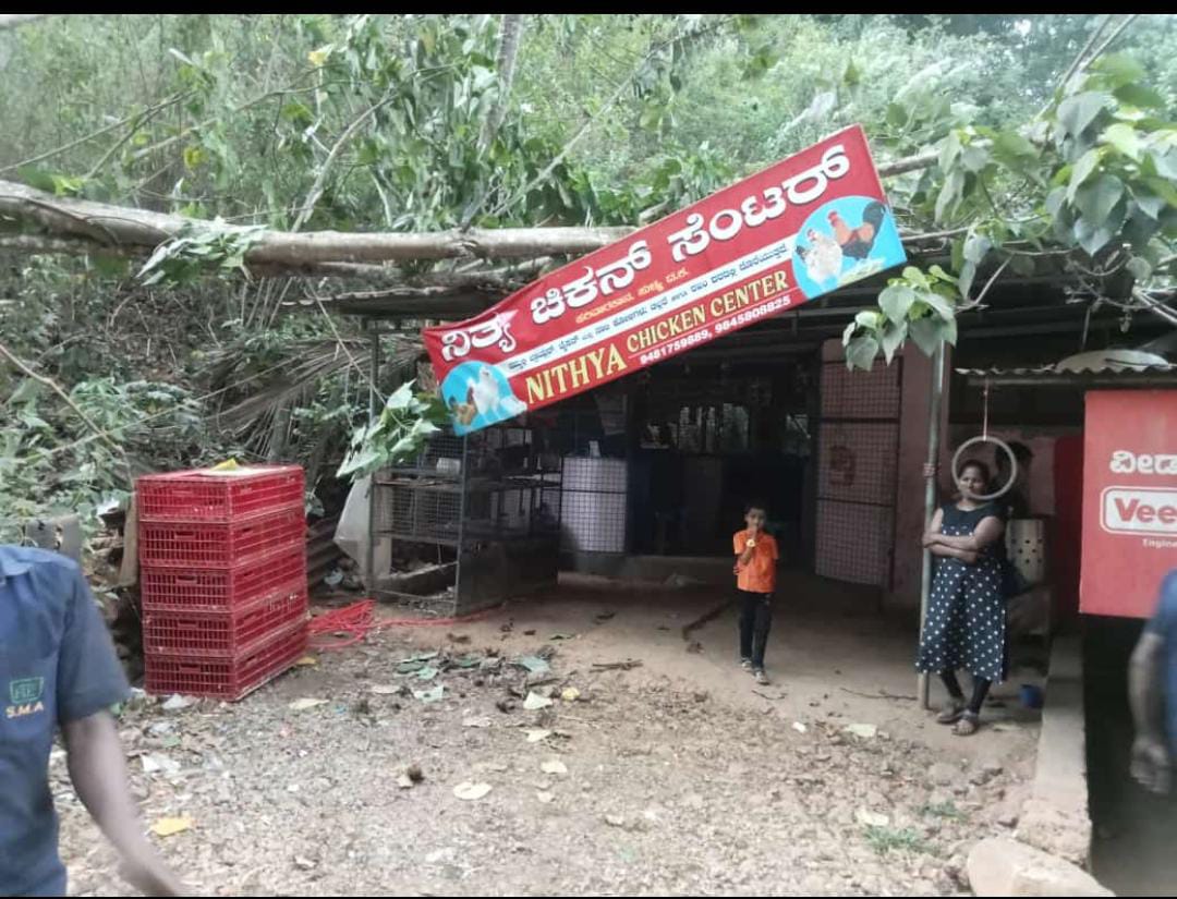 ಸುಳ್ಯ: ಭಾರೀ ಗಾಳಿ ಮಳೆಗೆ ಚಿಕನ್ ಸೆಂಟರ್ ಮೇಲೆ ಮರ ಬಿದ್ದು ಅವಘಡ
