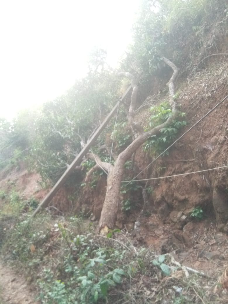 ವಿಟ್ಲ: ಮರ ಬಿದ್ದು ವಿದ್ಯುತ್ ಕಂಬ ಕಟ್