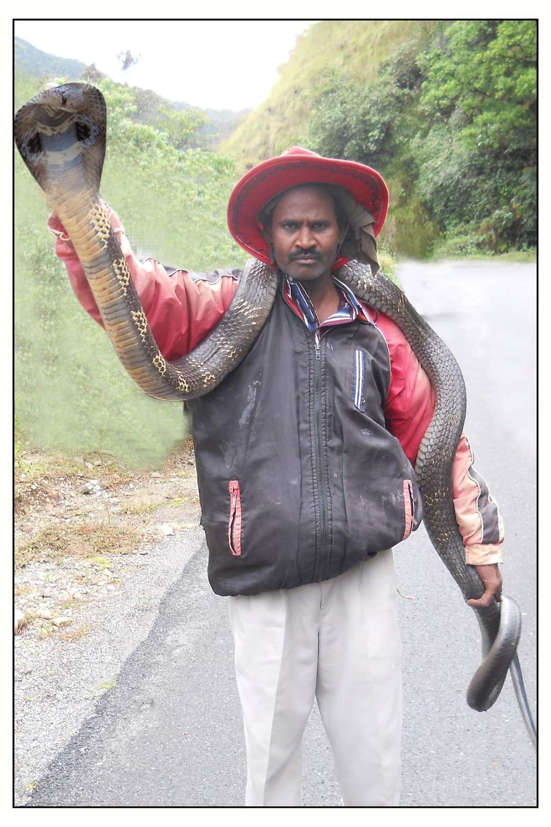 ಚಿಕ್ಕಮಗಳೂರು: ಸಾವಿರಾರು ಹಾವುಗಳನ್ನು ಸೆರೆ ಹಿಡಿದಿದ್ದ ಉರಗ ತಜ್ಞ ಸಾವು|ಚೀಲದ ತುಂಬೆಲ್ಲಾ ಹಾವೋ… ಹಾವು…