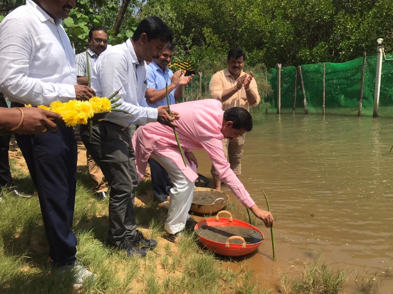 ಮಂಗಳೂರು: ವಿಶ್ವ ಪರಿಸರ ದಿನಾಚರಣೆ | ಕುದ್ರುವಿನಲ್ಲಿ ಕಾಂಡ್ಲಾ ಸಸಿ ನಾಟಿ