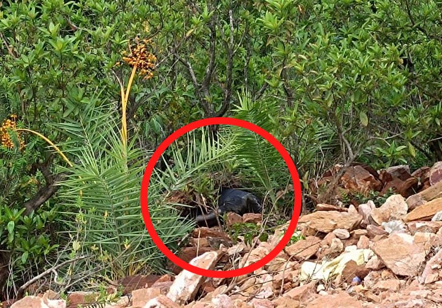 ಕೊಟ್ಟಿಗೆಹಾರ:ಪ್ರವಾಸಿತಾಣದಲ್ಲಿ ಯುವಕನ ಶವ ಪತ್ತೆ