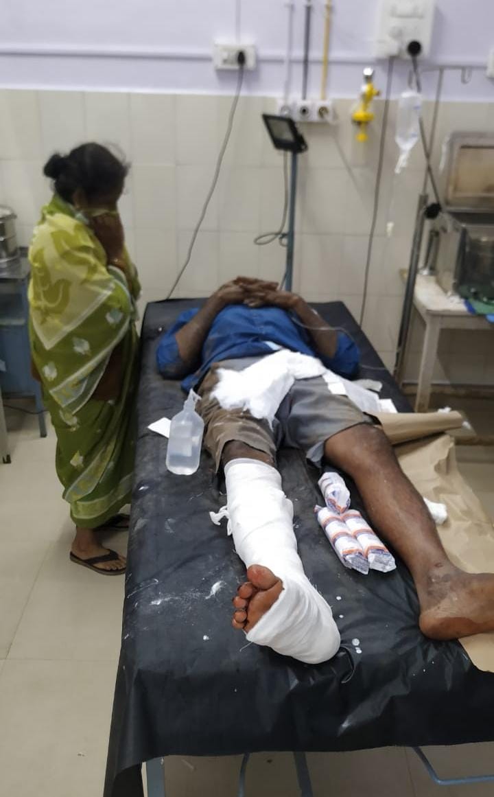 ವೃದ್ಧ ಕಾರ್ಮಿಕನ ಮೇಲೆ ಕಾಡಾನೆ ದಾಳಿ