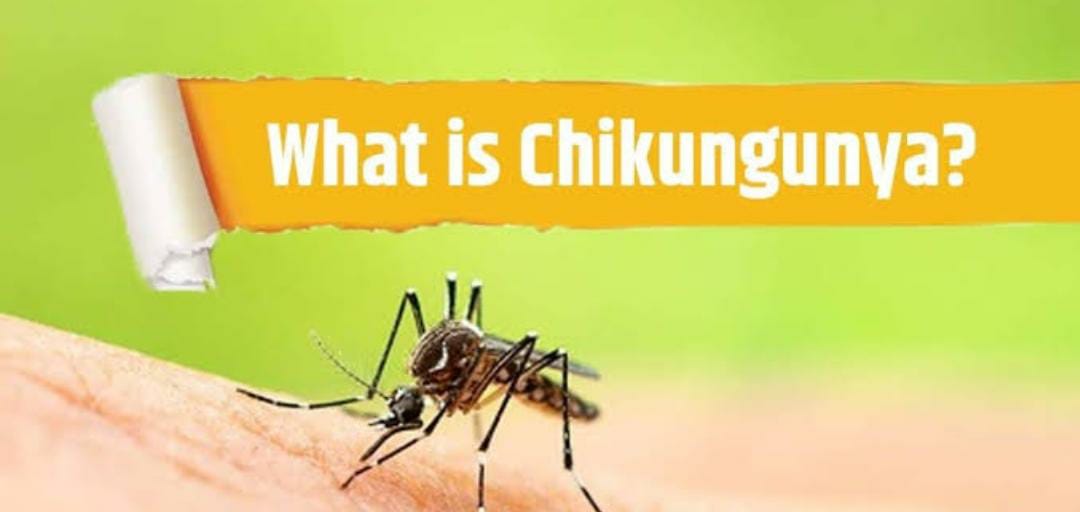 ಕರೆಯದೇ ಬರುವ ಮಳೆಗಾಲದ ಮತ್ತೊಬ್ಬ ನೆಂಟ – ಚಿಕುನ್‍ಗುನ್ಯಾ ಜ್ವರ | ರೋಗದ ಲಕ್ಷಣ ಮತ್ತು ಚಿಕಿತ್ಸಾ ಕ್ರಮಗಳ ಸಂಪೂರ್ಣ ಮಾಹಿತಿ ಇಲ್ಲಿದೆ
