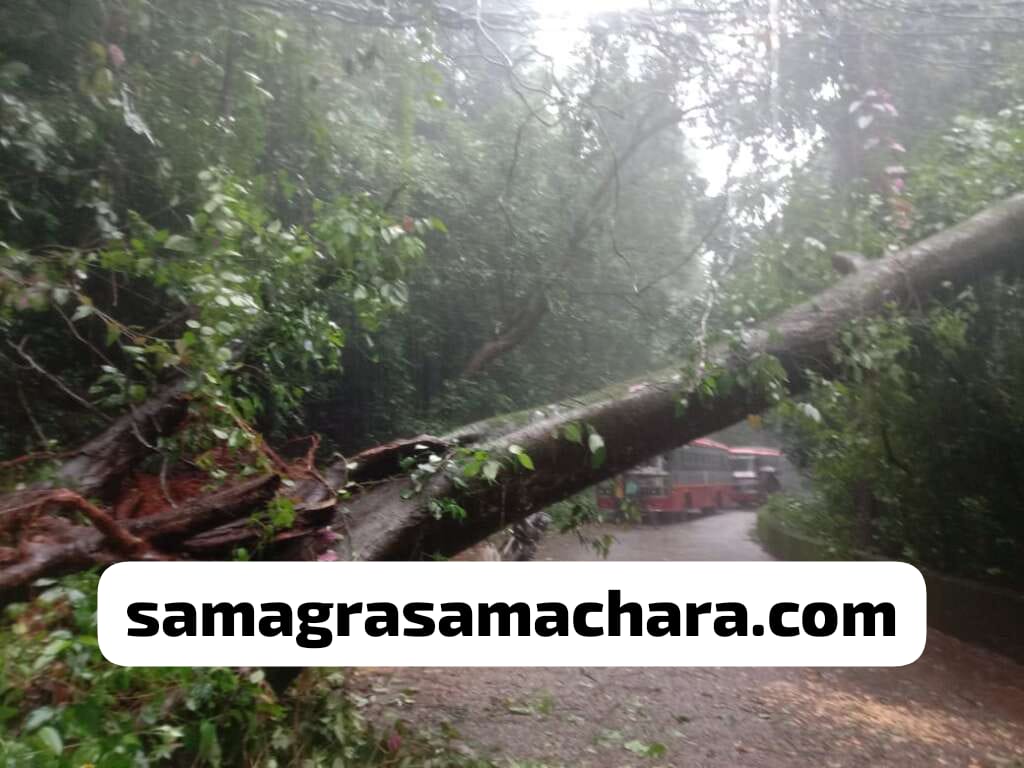 ಬಿಸ್ಲೆ ಘಾಟ್ ನಲ್ಲಿ ಭೂಕುಸಿತ| ಬಿಸಿಲೆ- ಸುಬ್ರಹ್ಮಣ್ಯ ಸಂಚಾರ ಸ್ಥಗಿತ