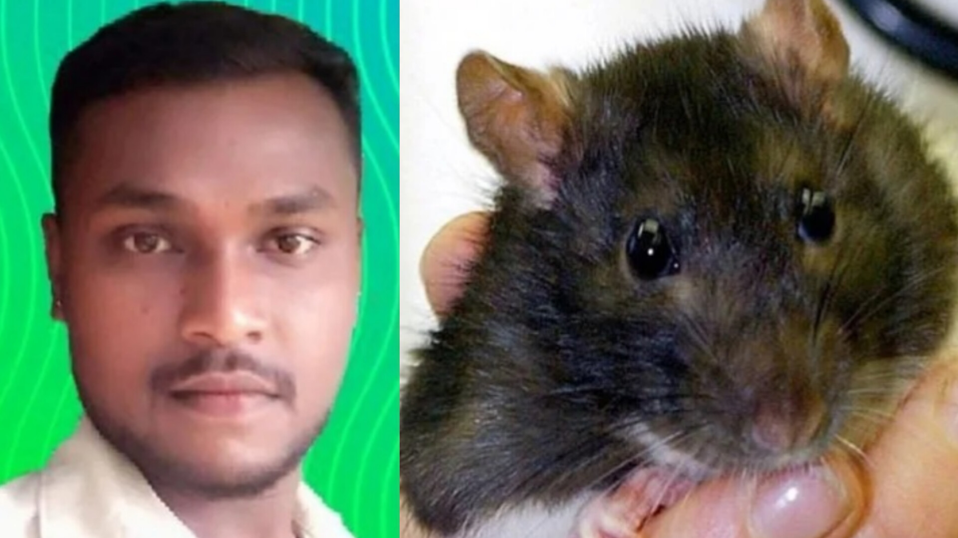 ಮಡಿಕೇರಿಯಲ್ಲಿ ಇಲಿ ಜ್ವರಕ್ಕೆ ಯುವಕ ಬಲಿ