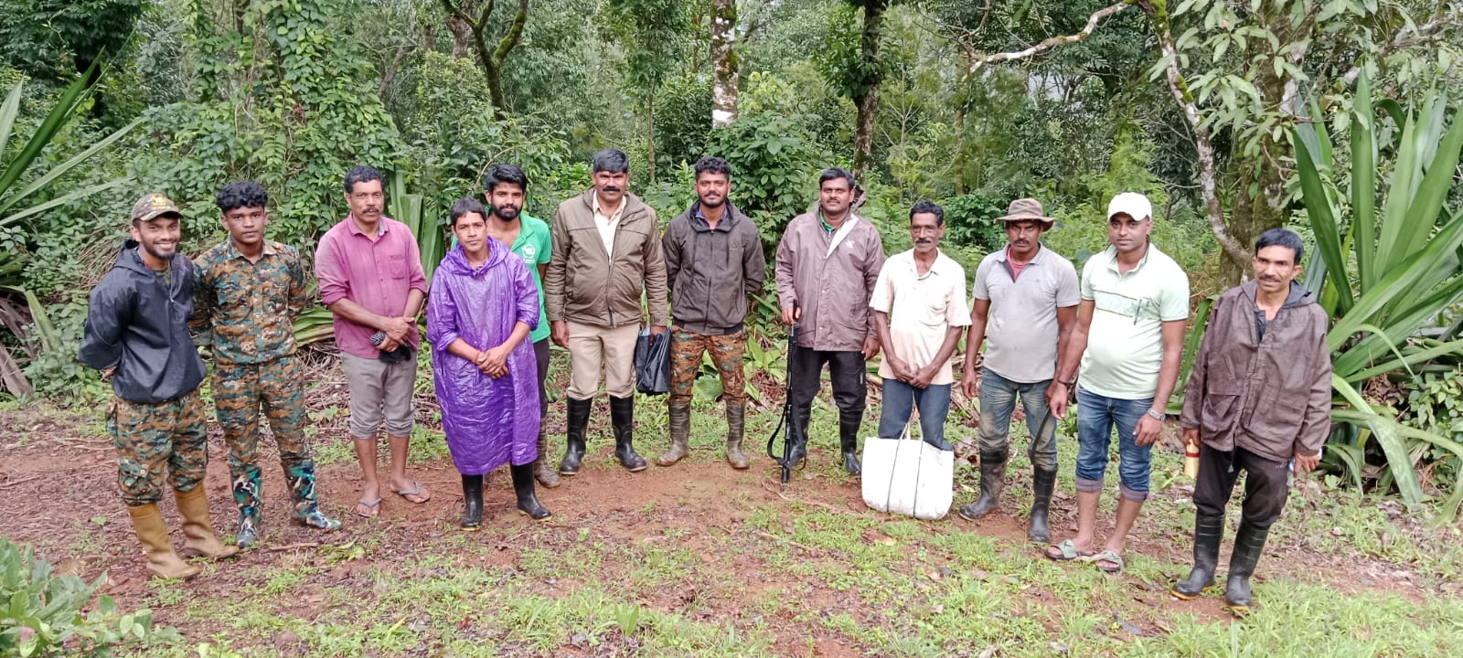 ಕೊಟ್ಟಿಗೆಹಾರ: ಅಟ್ಟಿಸಿಕೊಂಡು ಬಂದ ಕಾಡಾನೆ| ಕೂದಲೆಳೆ ಅಂತರದಲ್ಲಿ ಪಾರಾದ ಅರಣ್ಯ ಅಧಿಕಾರಿಗಳು