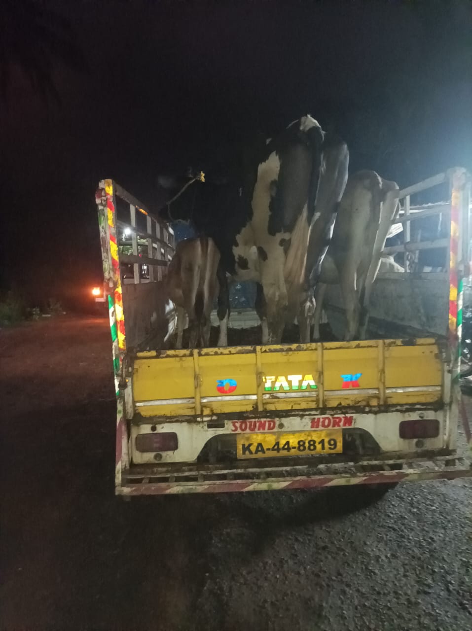 ಕುಕ್ಕೆ ಸುಬ್ರಹ್ಮಣ್ಯ: ಅಕ್ರಮ ಗೋ ಸಾಗಾಟ ಪೊಲೀಸ್ ವಶ