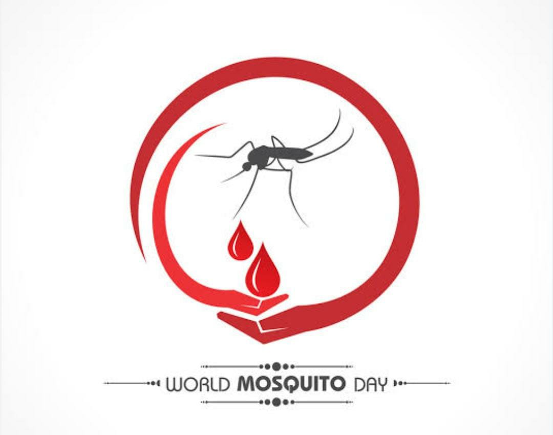 ಸೊಳ್ಳೆಗಳ ಸಾಮ್ರಾಜ್ಯದತ್ತ ಇಣುಕು ನೋಟ| ವಿಶ್ವ ಸೊಳ್ಳೆಗಳ ದಿನ –ಆಗಸ್ಟ್20