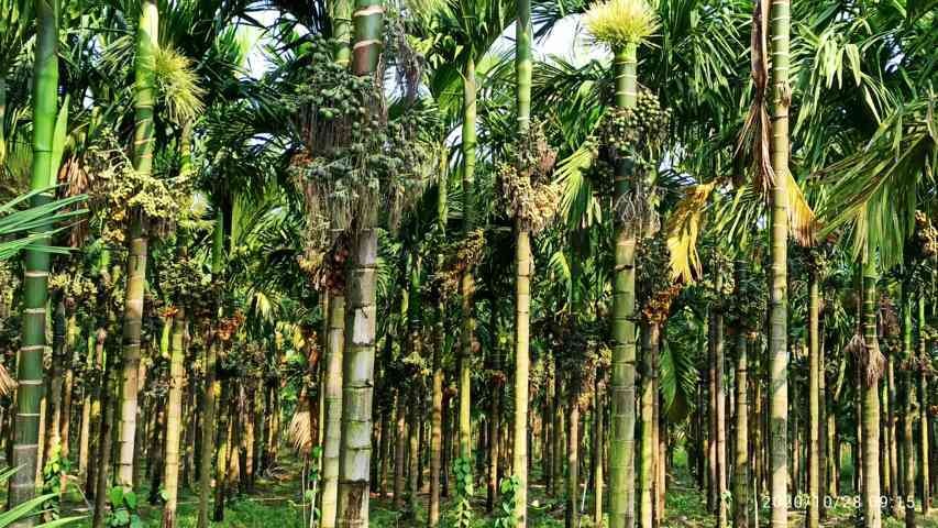 ಬೆಳೆ ವಿಮೆ ಯೋಜನೆಯ ಅರ್ಜಿ ಆಹ್ವಾನ