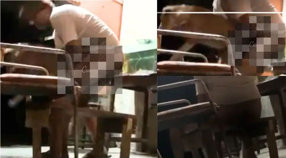 ಬೀದಿನಾಯಿ ಮೇಲೆ ಅತ್ಯಾಚಾರ ಎಸಗಿದ ವಿಕೃತಕಾಮಿ| ಸಿಸಿ ಟಿವಿಯಲ್ಲಿ ದೃಶ್ಯ‌ ಸೆರೆ