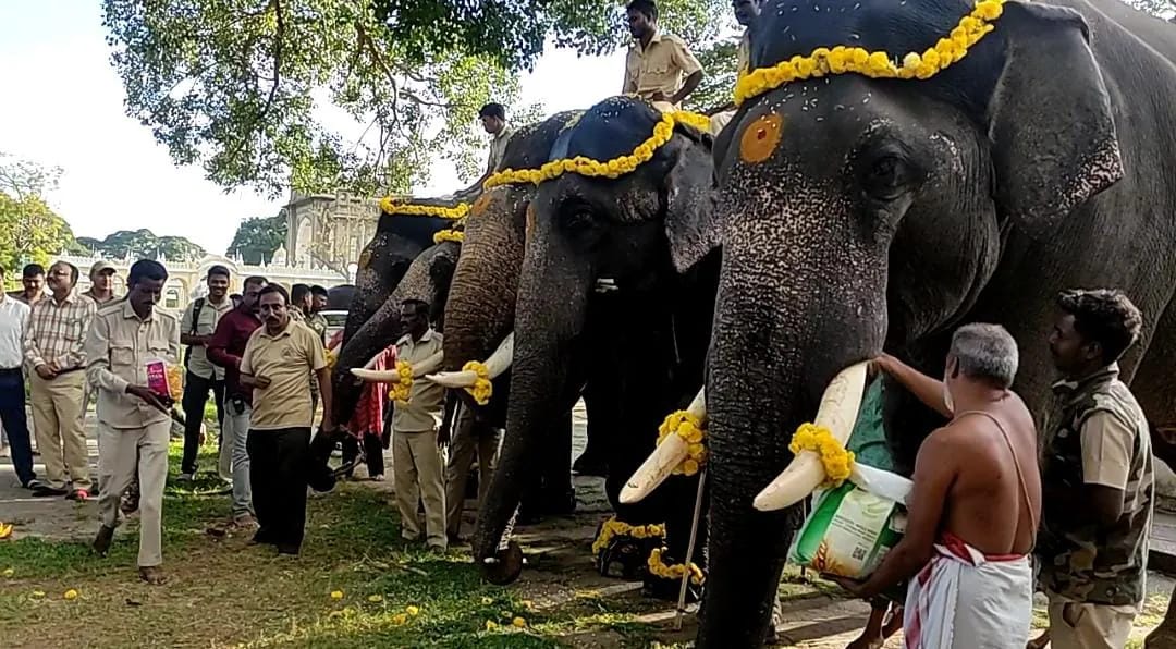 ದಸರಾ ಗಜಪಡೆಗೆ ಮತ್ತೆ 5 ಆನೆ ಎಂಟ್ರಿ