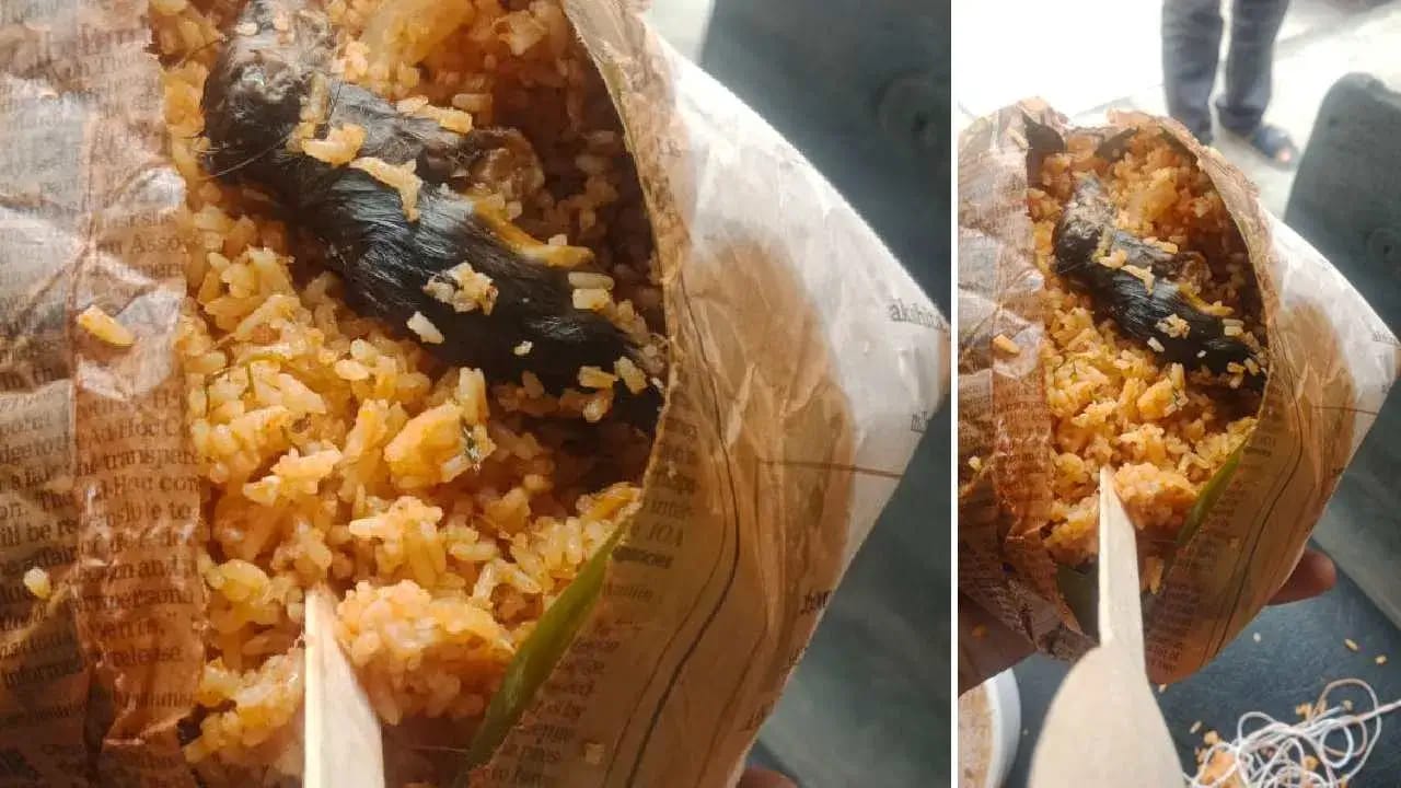 ಬೆಂಗಳೂರು: ಪೊಲೀಸರಿಗೆ ತಂದ ಊಟದಲ್ಲಿ ಇಲಿ ಪತ್ತೆ