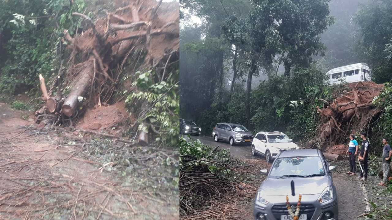 ಭಾರೀ ಮಳೆಗೆ ಚಾರ್ಮಾಡಿ ಘಾಟ್ ನಲ್ಲಿ ರಸ್ತೆಗುರುಳಿದ ಮರ