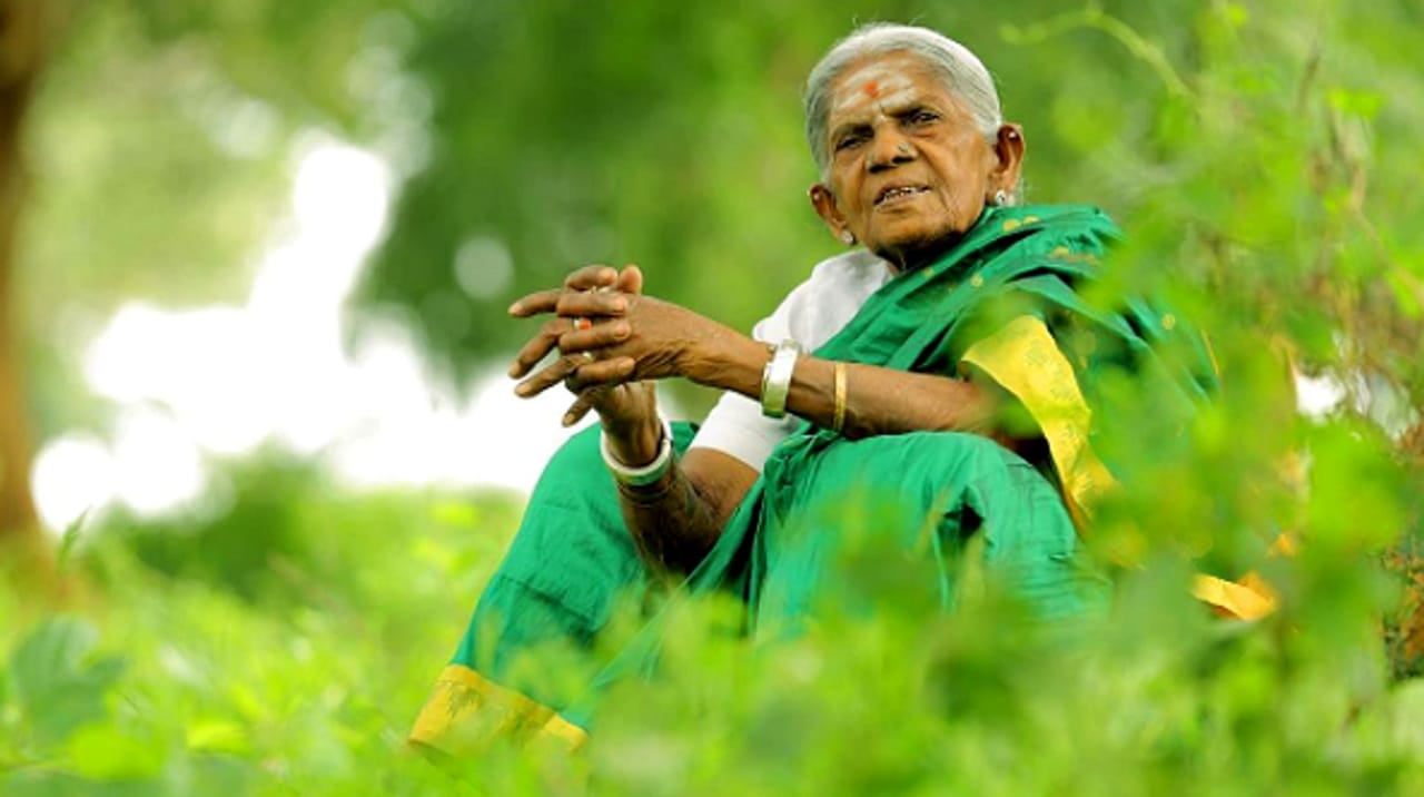 ಸಾಲುಮರದ ತಿಮ್ಮಕ್ಕ ಆರೋಗ್ಯದಲ್ಲಿ ಮತ್ತೆ ಏರುಪೇರು