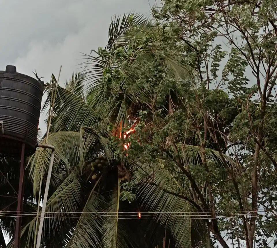 ಬಂಟ್ವಾಳ: ತೆಂಗಿನಮರಕ್ಕೆ ಸಿಡಿಲು ಬಡಿದು ಬೆಂಕಿ
