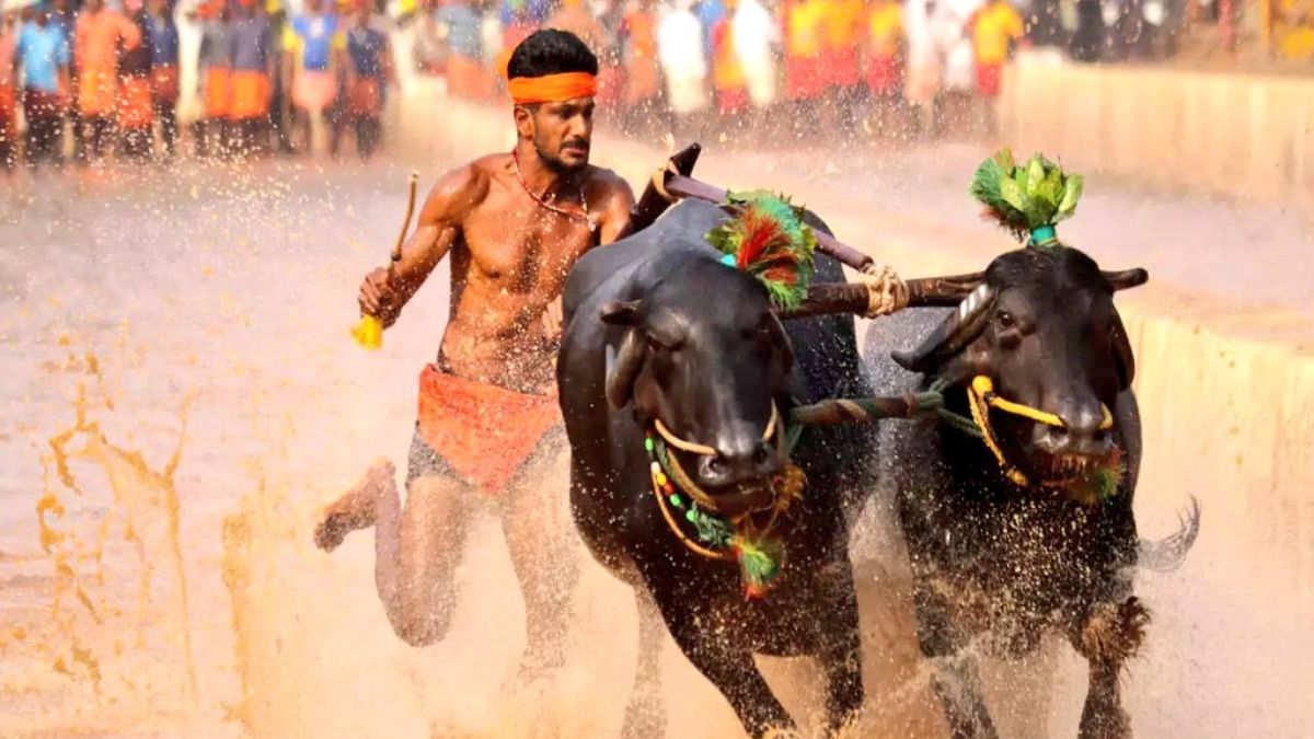ಕರಾವಳಿಯ ಕಂಬಳ ಬೆಂಗಳೂರಿನಲ್ಲಿ/ ರಾಜಧಾನಿಯ ಕಂಬಳಕ್ಕೆ ರಾಜ್ಯಪಾಲರಿಗೆ ಆಹ್ವಾನ