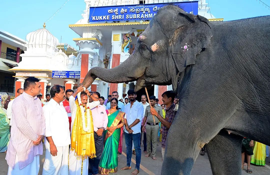 ಕುಕ್ಕೆ ಸುಬ್ರಹ್ಮಣ್ಯ: ನಿವೃತ್ತರಾದ ಮಾವುತ ಶ್ರೀನಿವಾಸರನ್ನ ಗೌರವಿಸಿ ಬೀಳ್ಕೊಟ್ಟ ‘ಯಶಸ್ವಿ’
