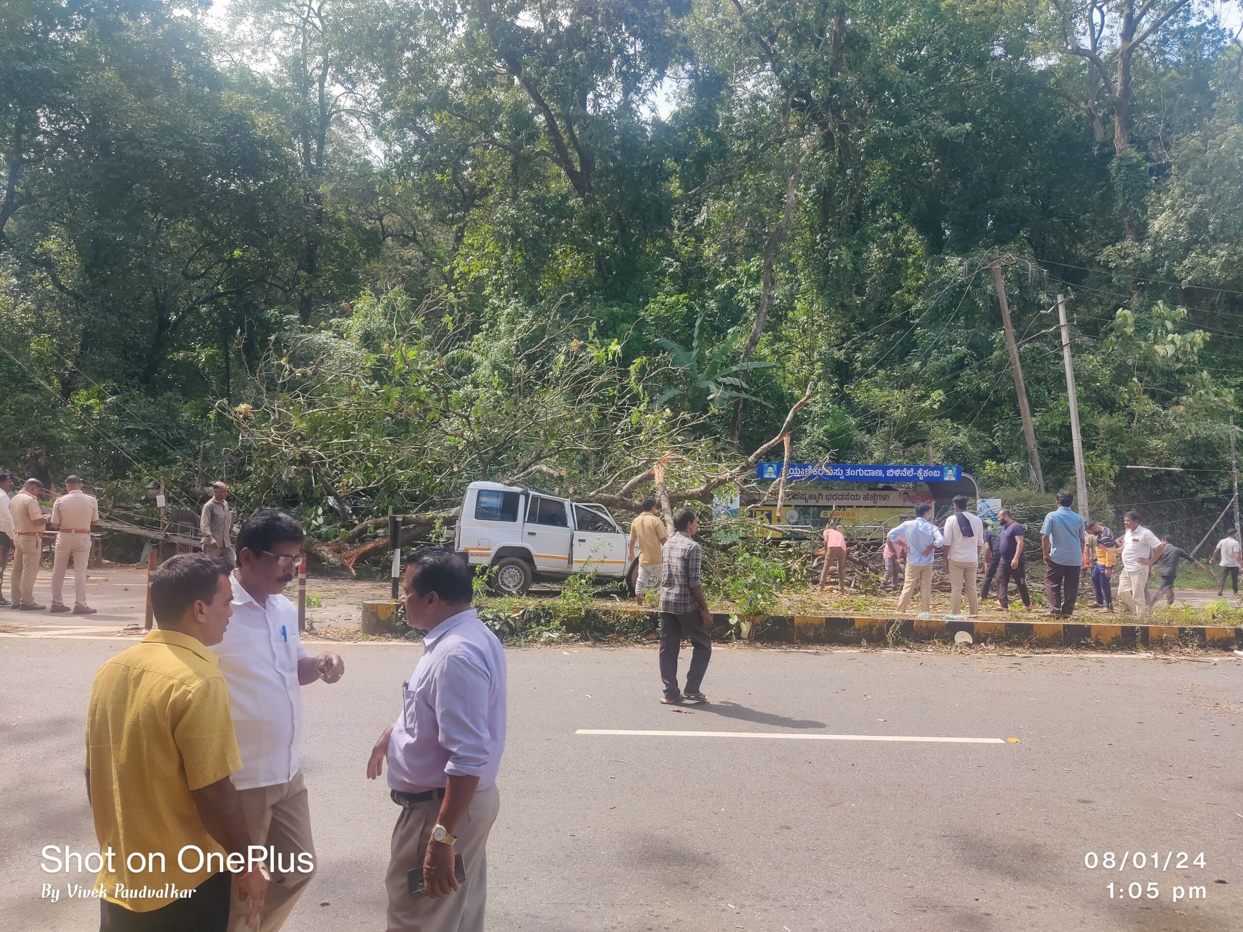 ಬಿಳಿನೆಲೆ: ಅಂಗಡಿ, ಟಾಟಾ ಸುಮೋ ಮೇಲೆ ಉರುಳಿದ ಬೃಹದಾಕಾರದ ಮರ| ಮರ ಕಡಿಯದಂತೆ ಗ್ರಾಮಸ್ಥರಿಂದ ಪ್ರತಿಭಟನೆ| ಅಧಿಕಾರಿಗಳಿಂದ ಪರಿಹಾರ ದೊರಕಿಸಲು ಮನವಿ